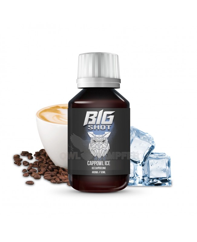 Aroma Eiskaffee - Big Shot Ice Cappowl 50 ml in 500 ml Flasche