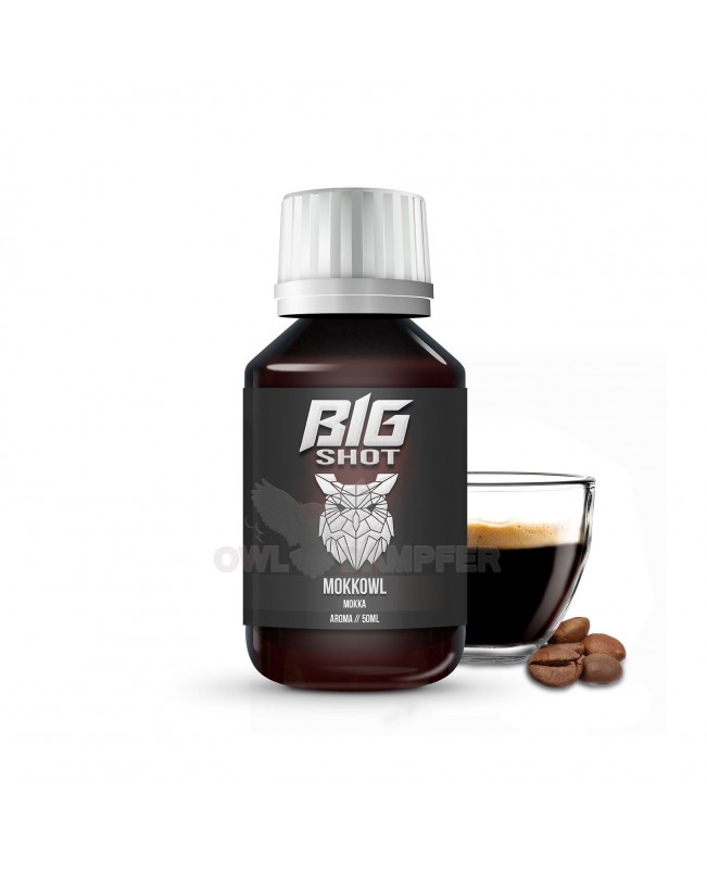 Mokka Kaffee 50 ml Aroma in 500 ml Flasche Big Shot Mokkowl