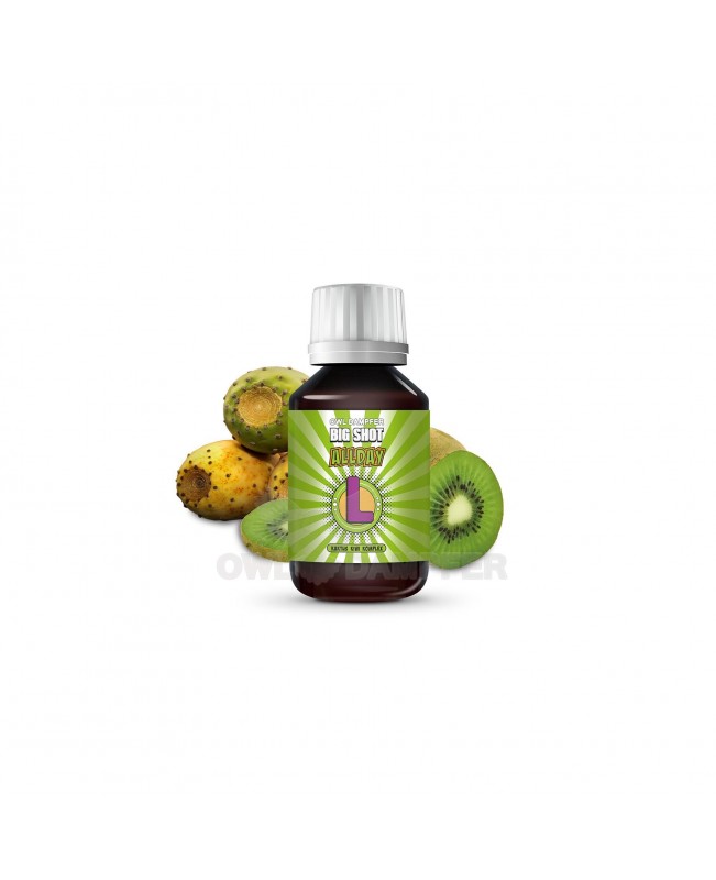 Kaktus Kiwi Komplex 50 ml Aroma in 500 ml Flasche Big Shot Allday L