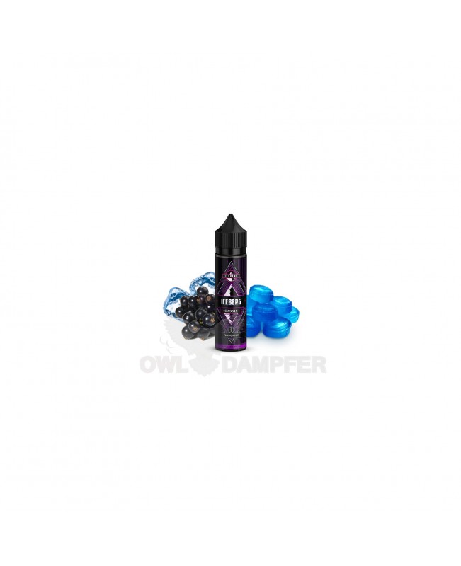 Flavorist Iceberg Cassis Aroma 10ml in 60ml Flasche