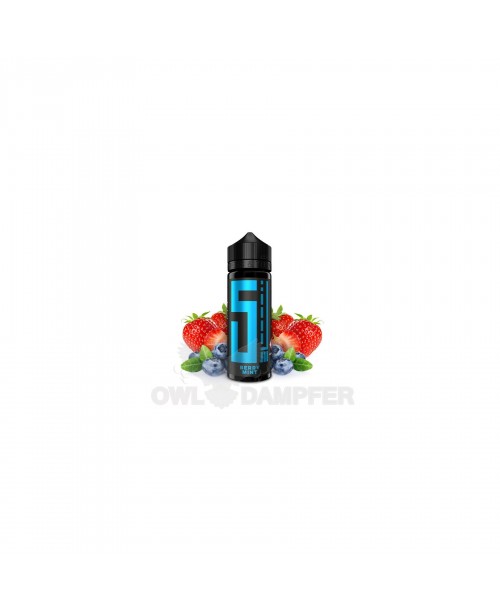 Aroma Berry Mint Longfill - 5EL 10 ml in 120 ml Fl...
