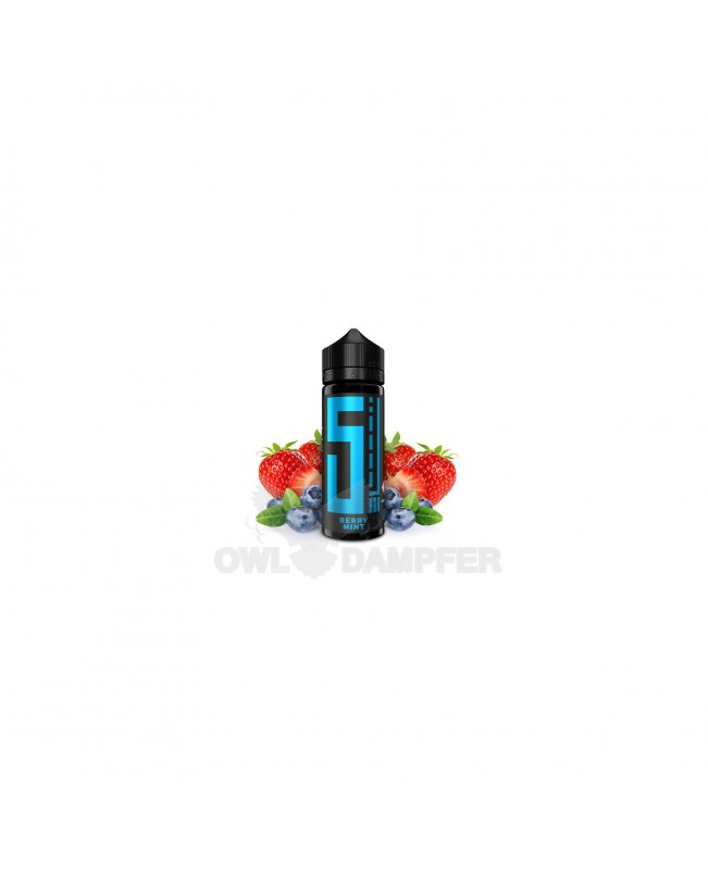 Aroma Berry Mint Longfill - 5EL 10 ml in 120 ml Flasche