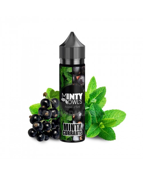 Aroma Johannisbeere Minze Longfill OWL Minty Curra...